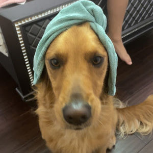 Meet your Posher, Skylar